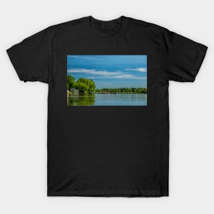 View of Rice lake and flying geese in formation T-Shirt